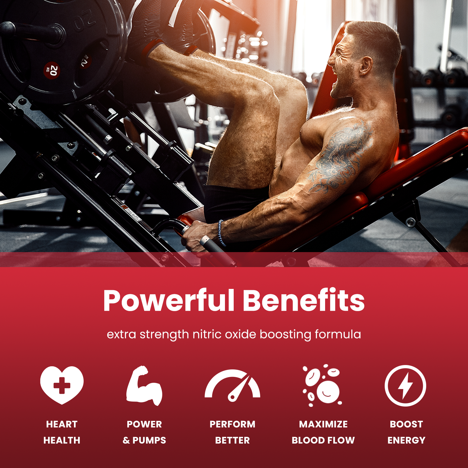 NutraChamps - Wholesale Oral Supplement/Vitamin - Nitric Oxide Supplement | L-Arginine, L Citrulline Malate, 4