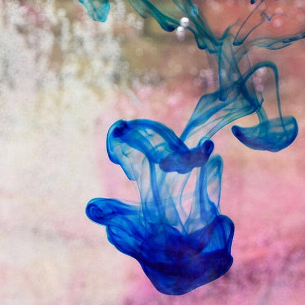 Shwally - Wholesale Anti-Aging Moisturizer - NEW Shwally Tallow & Methylene Blue Anti-Aging Face Balm7