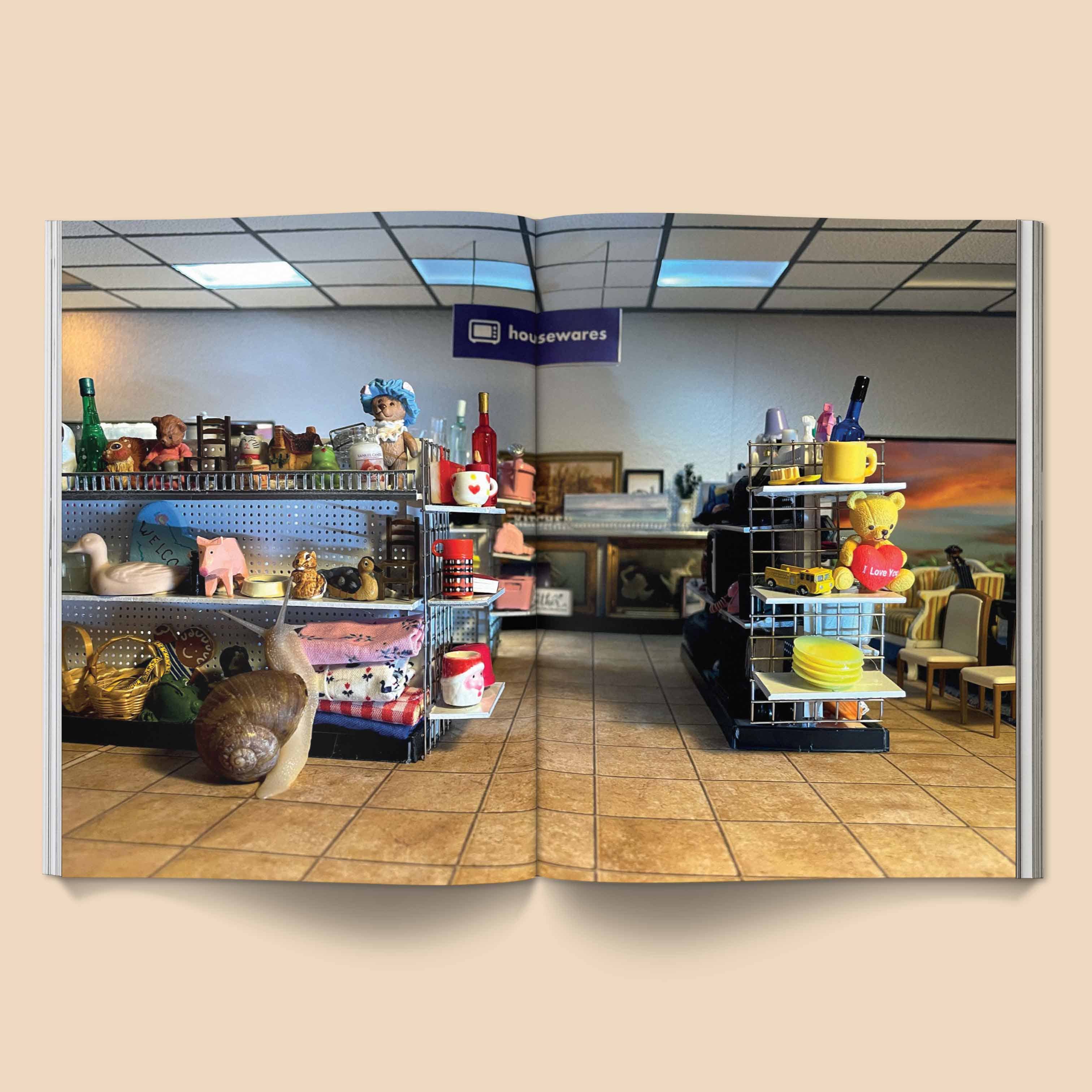 Broccoli - Wholesale Fantasy - Snail World 2: Welcome to Slimetown Coffee Table Book8