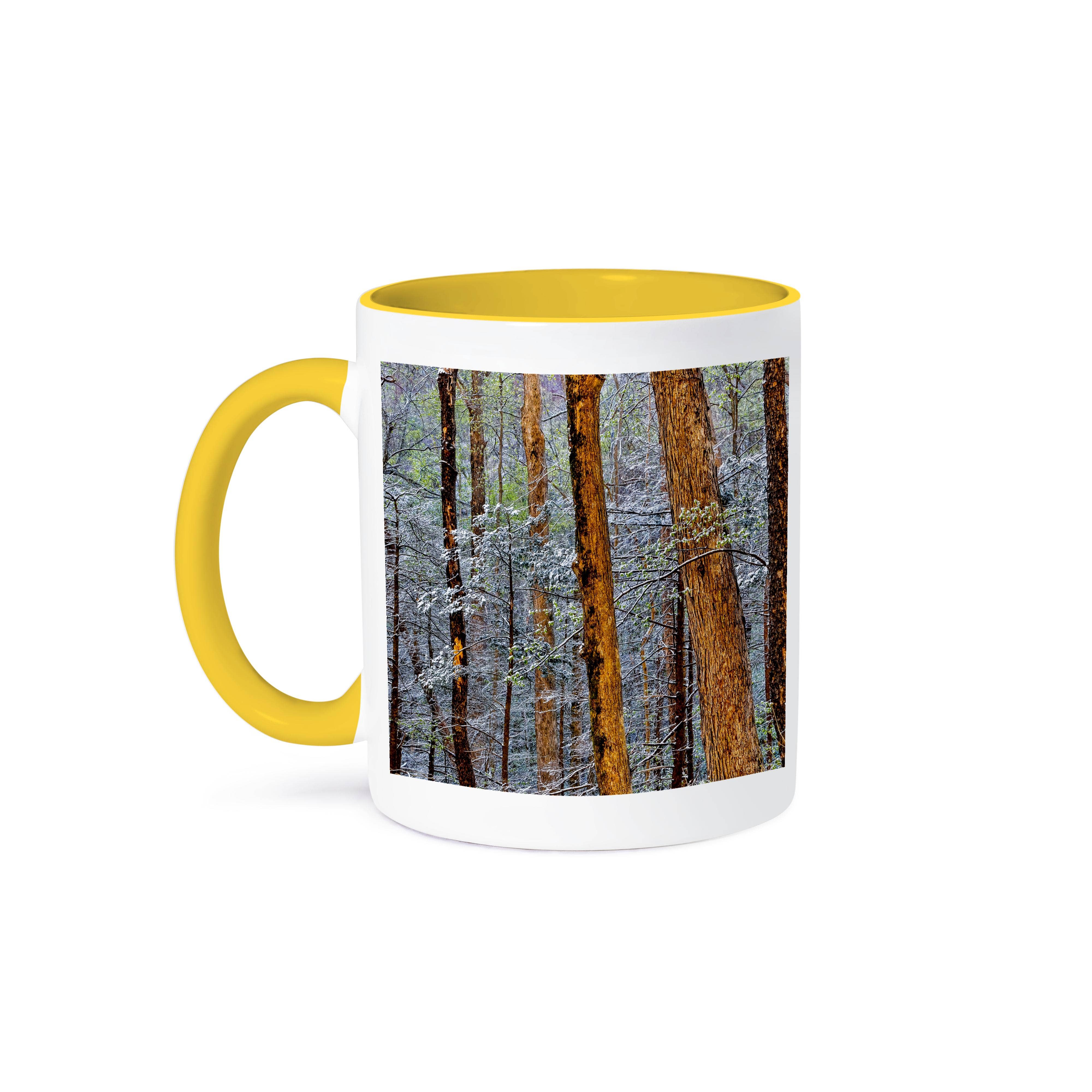3dRose - Wholesale Coffee Mug - 3dRose, USA, Tennessee. Great Smoky Mountains National Park. Spring snow 5, Mug0