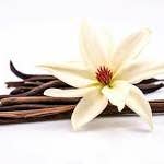 Artisan Soap - Vanilla Delight for wholesale by ECHO Barkery