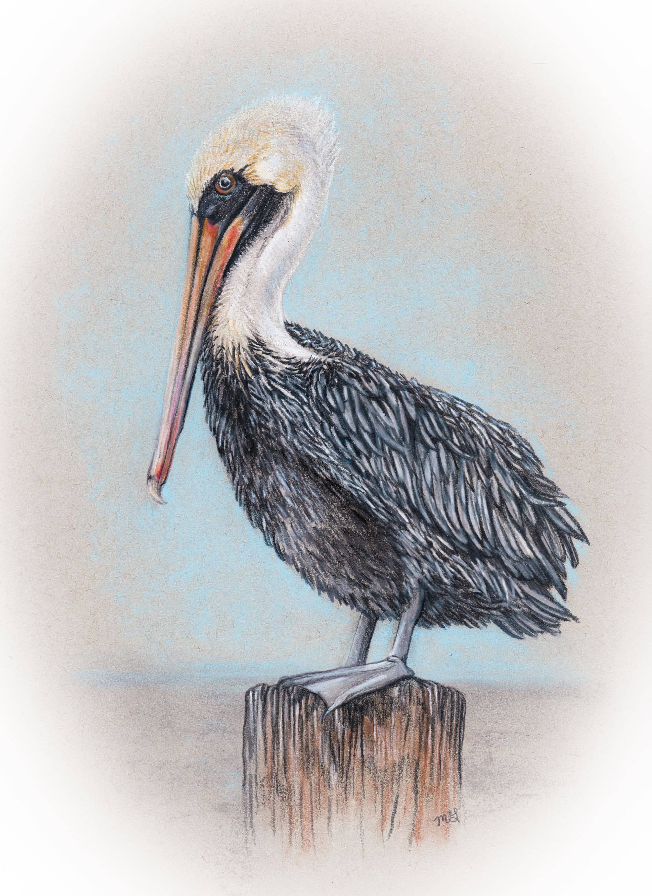 Megan Gray Art - Wholesale Art Print - Pelican Piling Art Print1