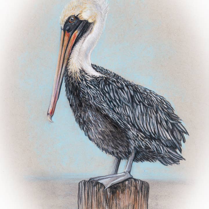 Megan Gray Art - Wholesale Art Print - Pelican Piling Art Print1