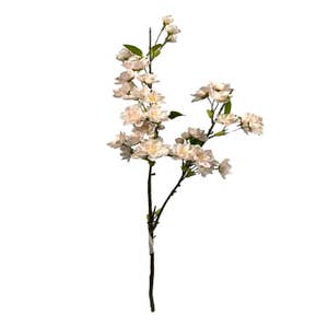 Angel Isabella, LLC Pack of 6-Realistic Real Touch Rose Stems (Peach)