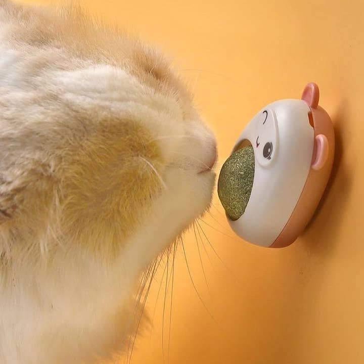 VIGOR - Wholesale Pet Toy - Cat - Catnip Balls Cat Mint Wall Stick-on Ball Toy Healthy Removes8