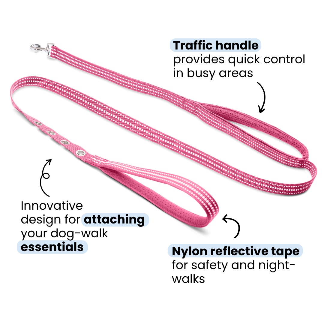 StitchLeash - Wholesale Pet Leash - Dog - StitchLeash® Bryce Clip & Go™ Flat Nylon Leash – Pink | 6 ft | 24 per case2