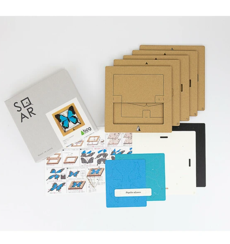 「FUNJI」In Japan - Wholesale DIY Craft Kit - 3D Stag Beetle Paper Craft Kit – Miyama Kuwagata | Japanese 3