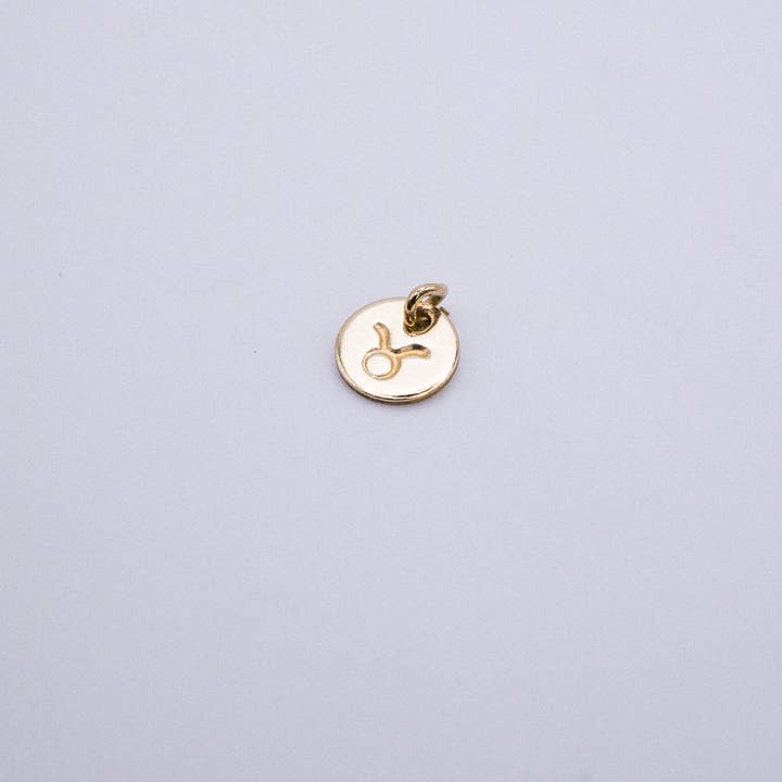Hannah Naomi - Wholesale Individual Charm/Pendant - Tiny Zodiac Circle Charm, SOLID 14K Gold1