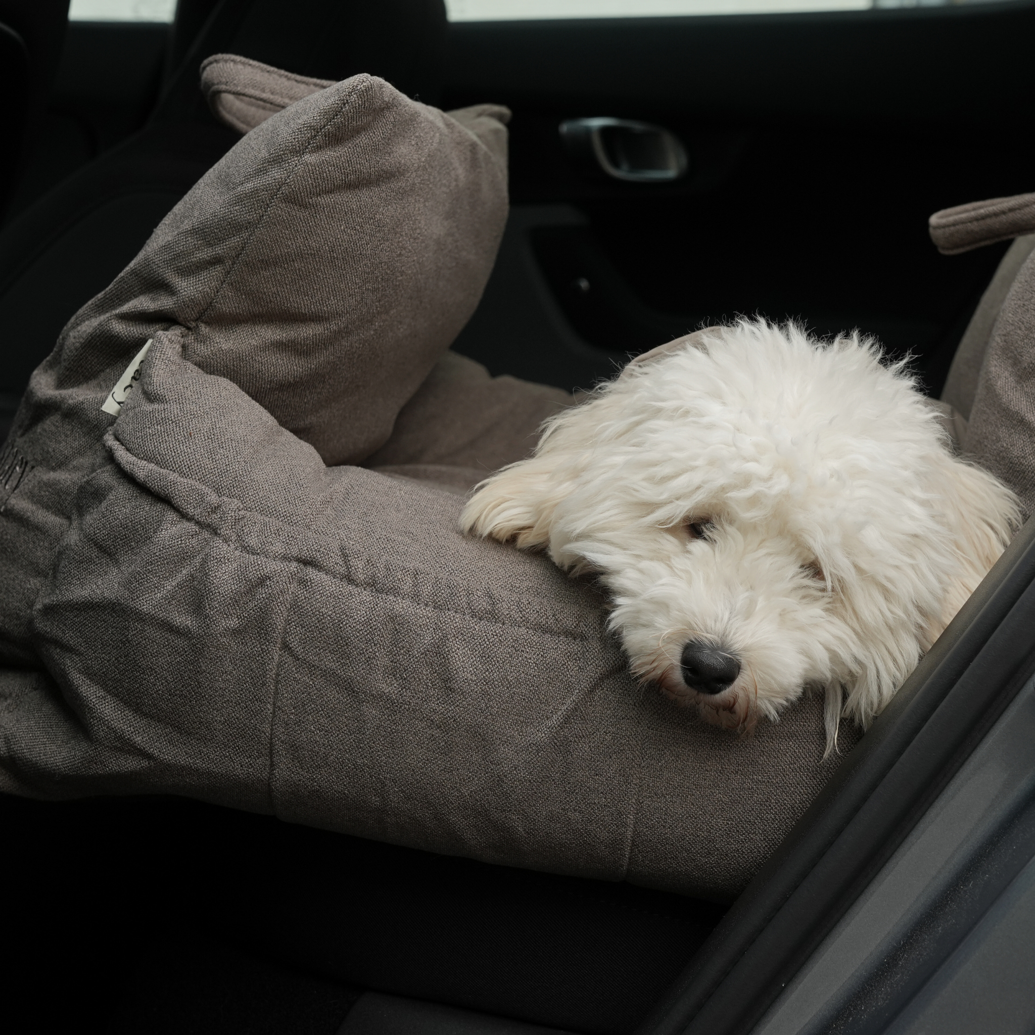 Staey - Wholesale Pet Carrier - Dog - Lara Car Seat | Taupe 2.04