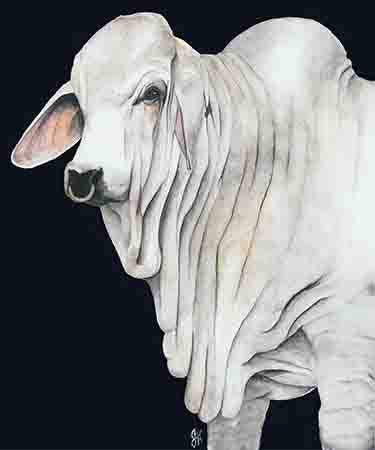 DOLLY ESTELLE - Wholesale Cutting Board - Charcuterie  Cutting Boards - Mix & Match97