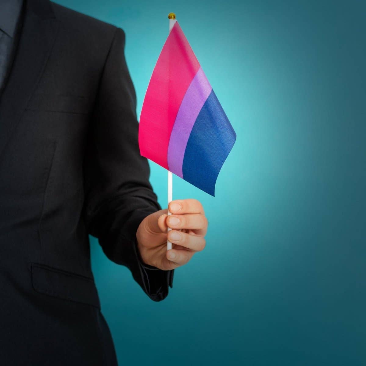 The Awareness Company - Wholesale Flag - Small Bisexual Flags on a Stick2