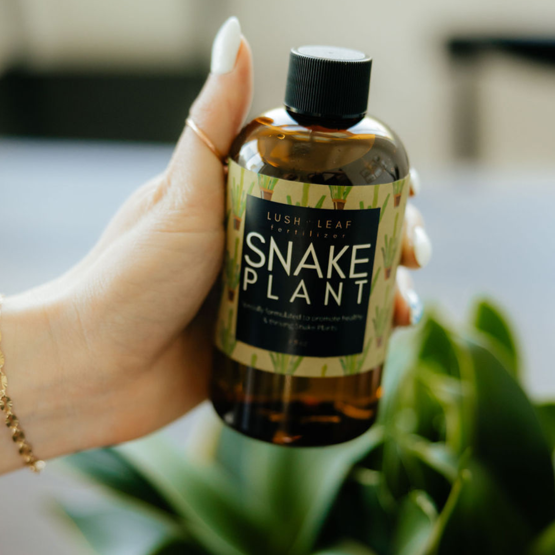 Lush Leaf – Fertilizante por atacado – Alimento para plantas de serpente3