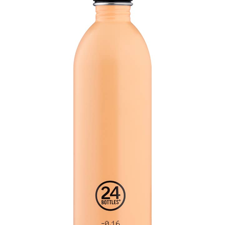 Brotzeit - Wholesale Water Bottle - 24bottles 1l stainless steel drinking bottle10