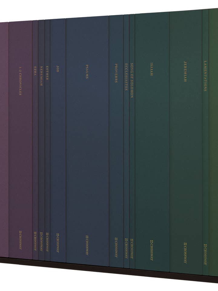ESV Illuminated SJ: Old Testament Set for wholesale by Crossway