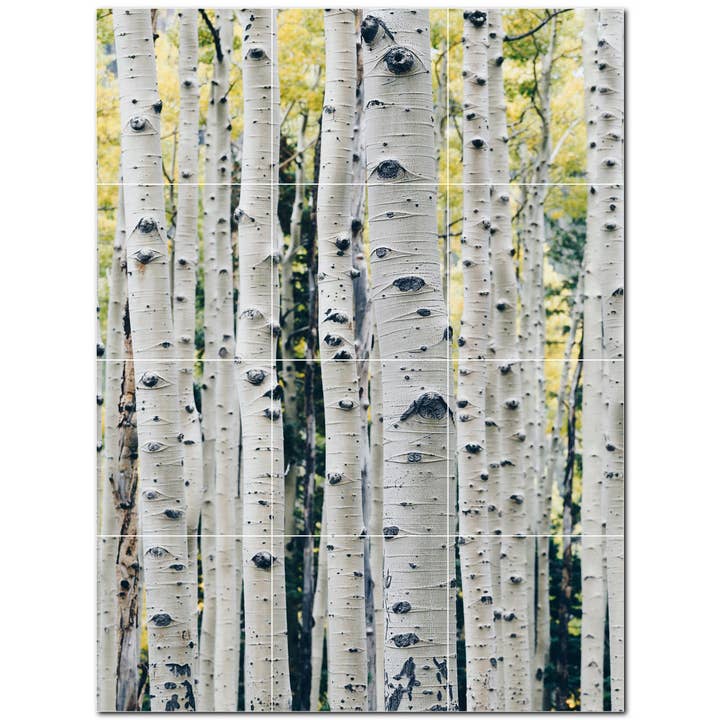 Baumkeramikfliese Keramikfliesen-Wandbild PT501025 für den Großhandel von Picture-Tiles.com