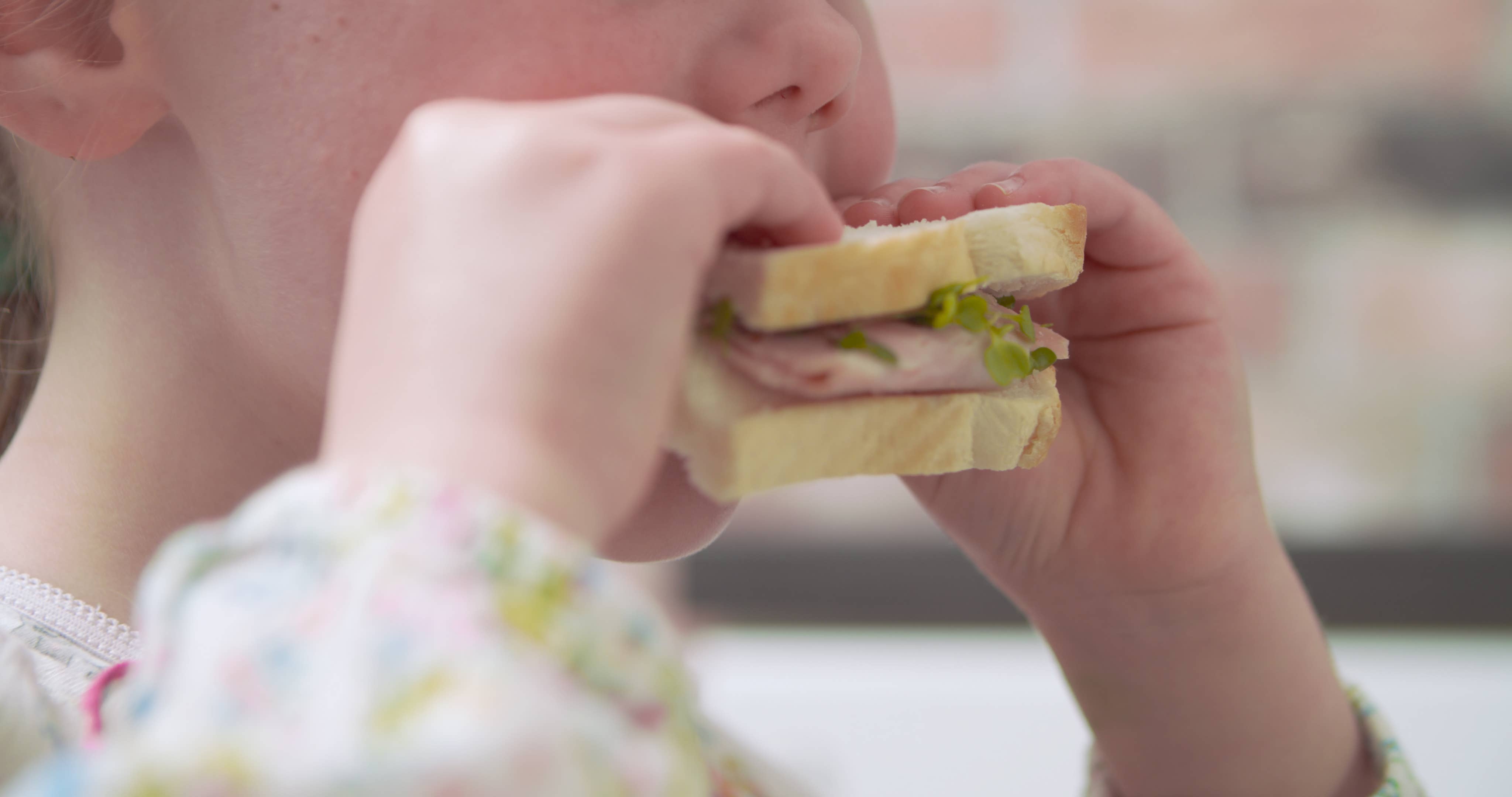 Caulys - Wholesale Plant Pot - Caulys Home - SOLO9