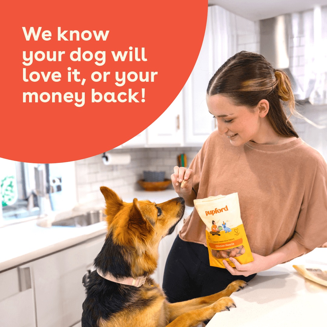 Pupford - Wholesale Pet Treats - Dog - Freeze Dried Chicken Hearts 4.25oz4