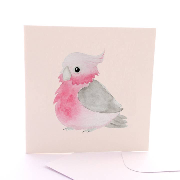 Baby Galah - Square Greeting Card for wholesale by Pleasant Tree