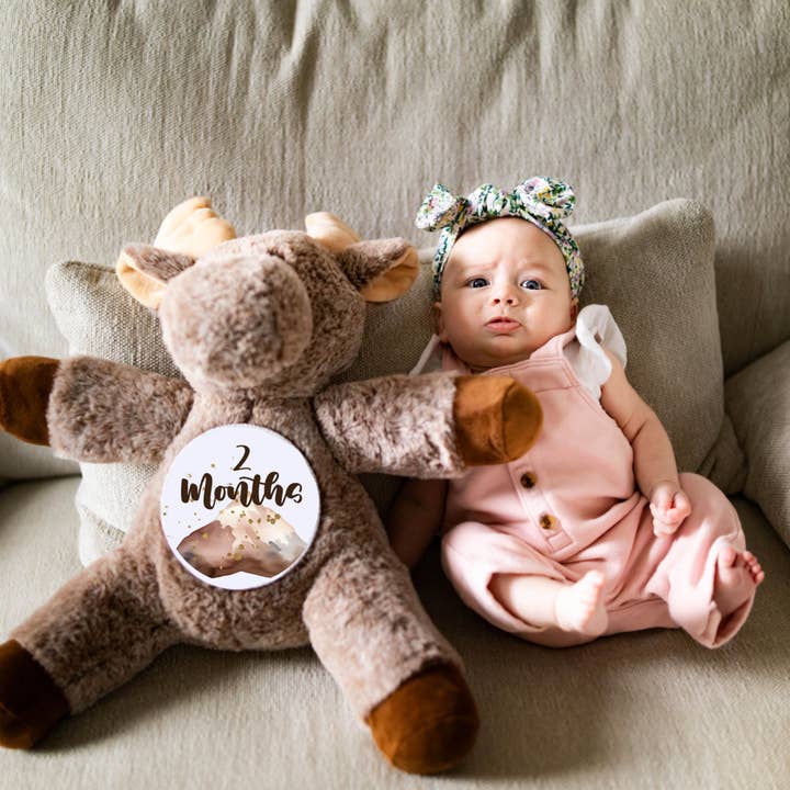 Grow With Me Baby Co - Wholesale Stuffed/Plush Toy - Kids & Baby - Baby Monthly Milestones, Moose Stuffed Animal5