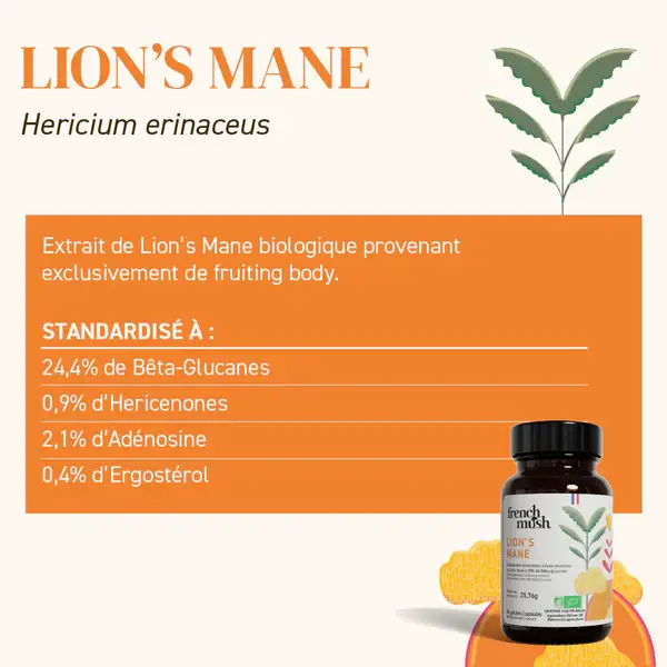 FRENCH MUSH - Wholesale Oral Supplement/Vitamin - The Lion’s Mane - Concentration - Powder2