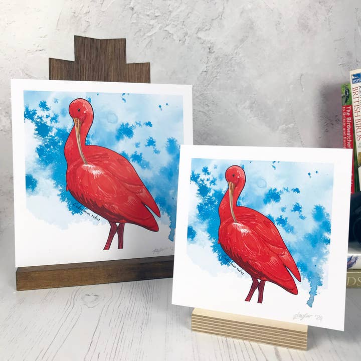 Scarlet Ibis Bird Print for wholesale by Loadofolbobbins