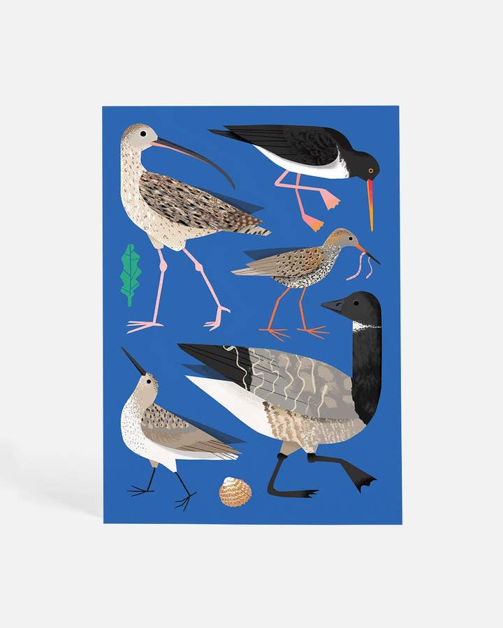 On the Estuary | Postcard for wholesale by Sunny Beast