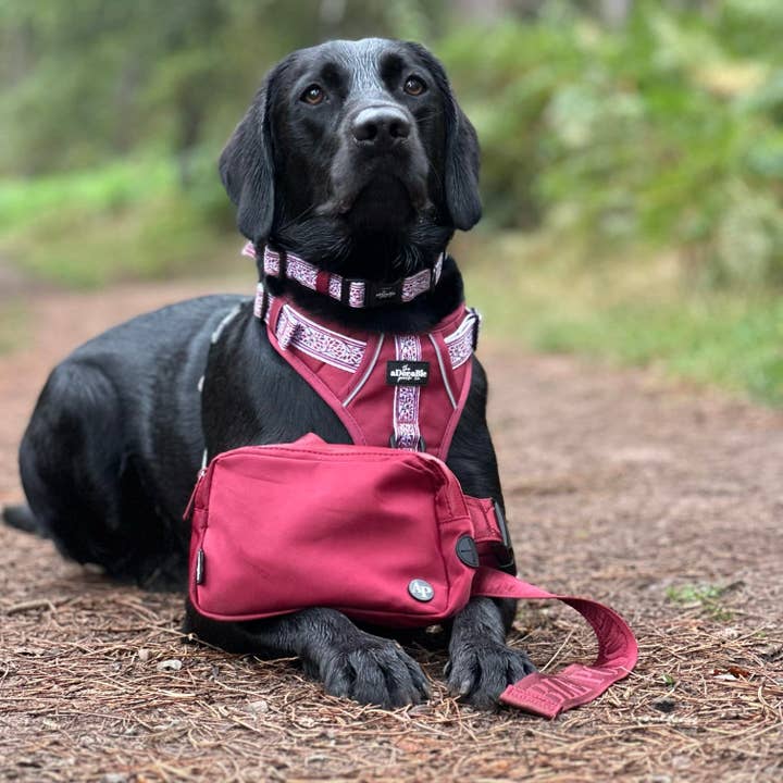 The aDoraBle Pooch Company - Wholesale Belt bag – Women’s - Slimline Everyday Bumbag - Dark Cherry Red15