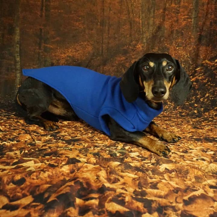 Royal Blue Königsblauer Fleece-Pullover für Dackel for wholesale on Faire3