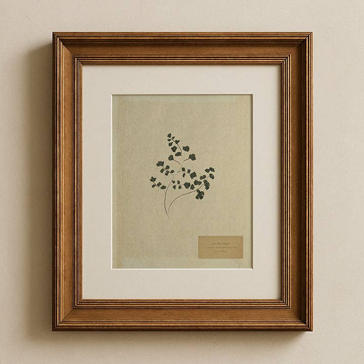 Stampa su Tessuto Botanic II per la vendita all'ingrosso da parte di Lauren Fuhr Design Co.