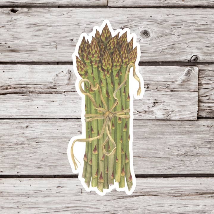 Adesivo con asparagi, adesivo per verdure, adesivo da giardino per la vendita all'ingrosso da parte di NatureCuts