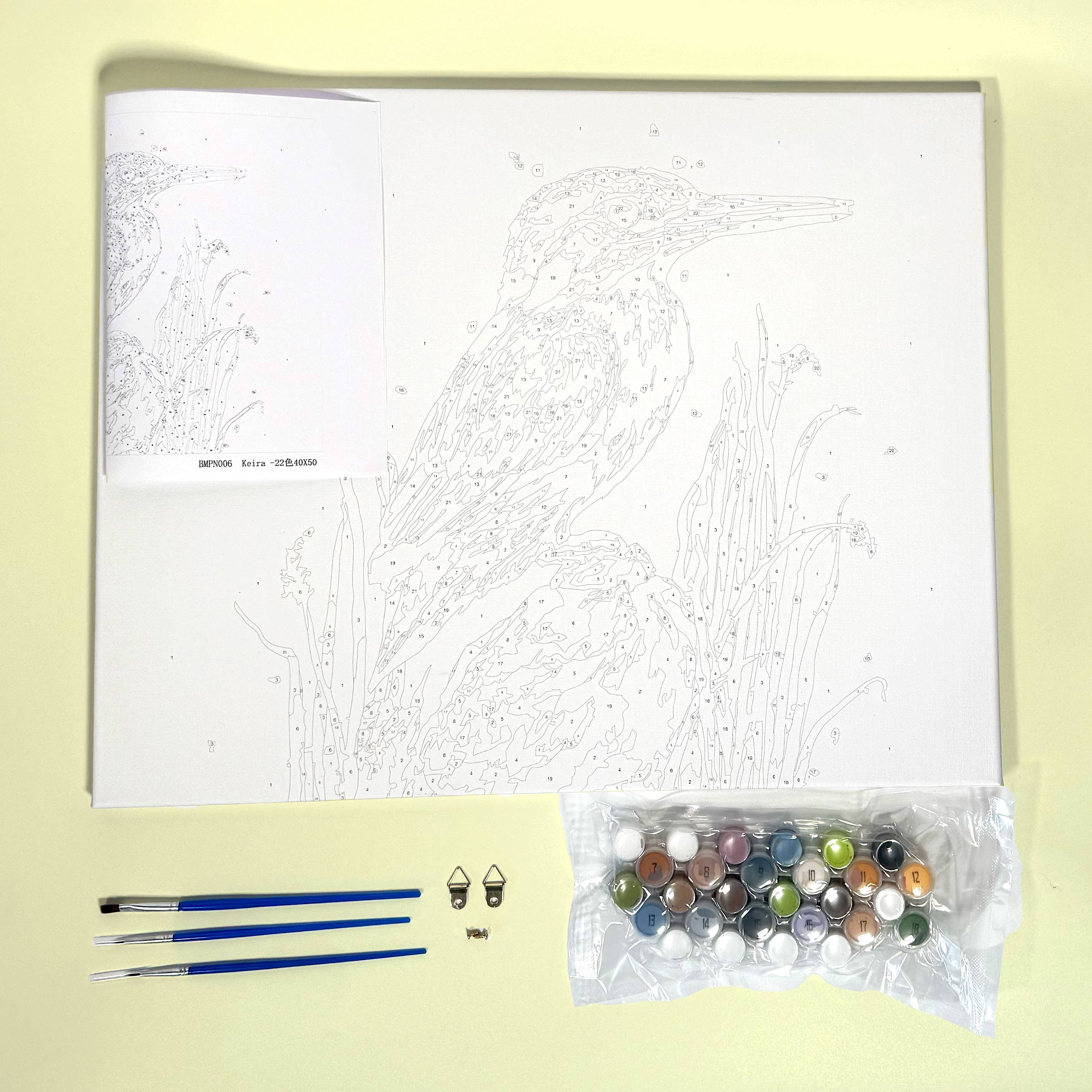 Creative World of Crafts - Vente Kit de bricolage - Bree Merryn Peinture par Numéros – Tribu de Tortues1