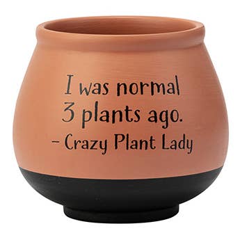 Napco - Wholesale Plant Pot - Planter, With Sayings 3 Asst.  Item # 14921 Special2