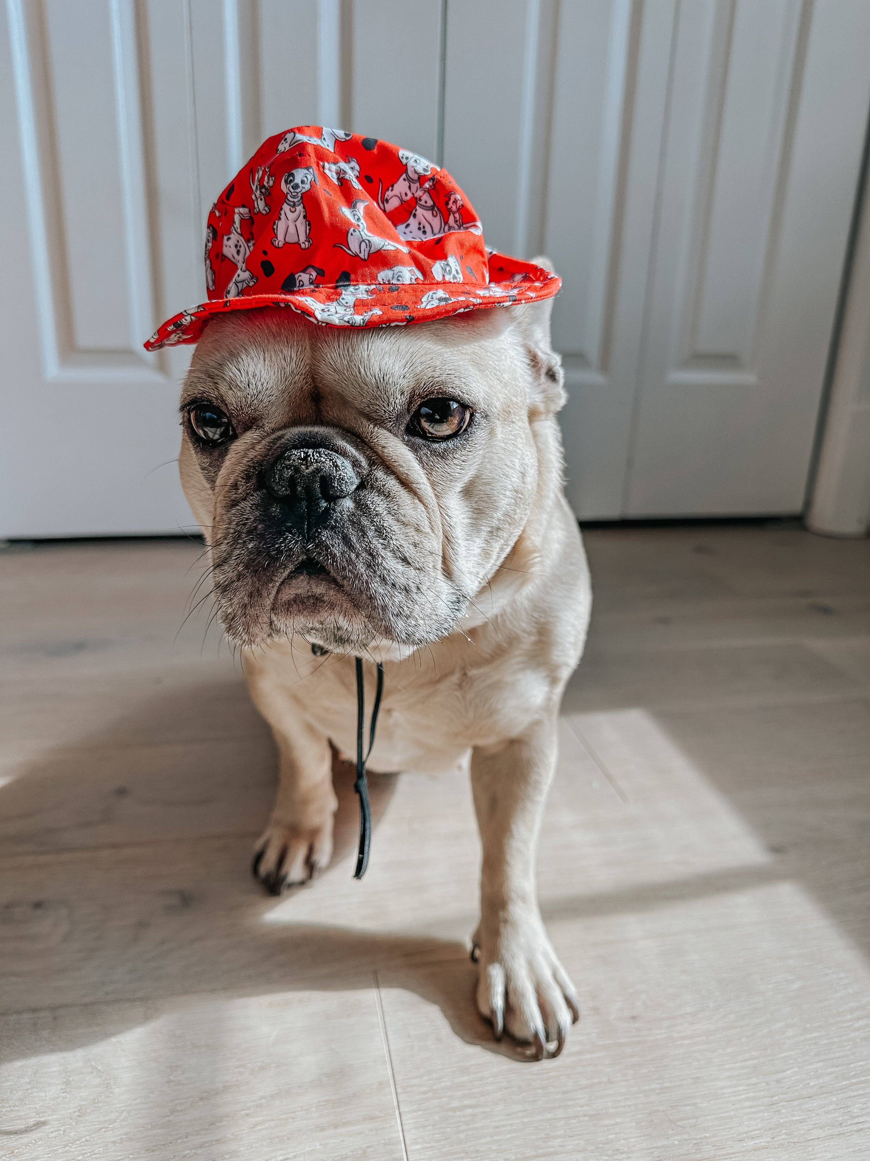 SASSY WOOF - Wholesale Pet Hat - Dog - Dog Bucket Hat - Disney's 101 Dalmatians5