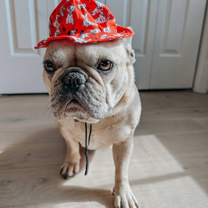 SASSY WOOF - Wholesale Pet Hat - Dog - Dog Bucket Hat - Disney's 101 Dalmatians5