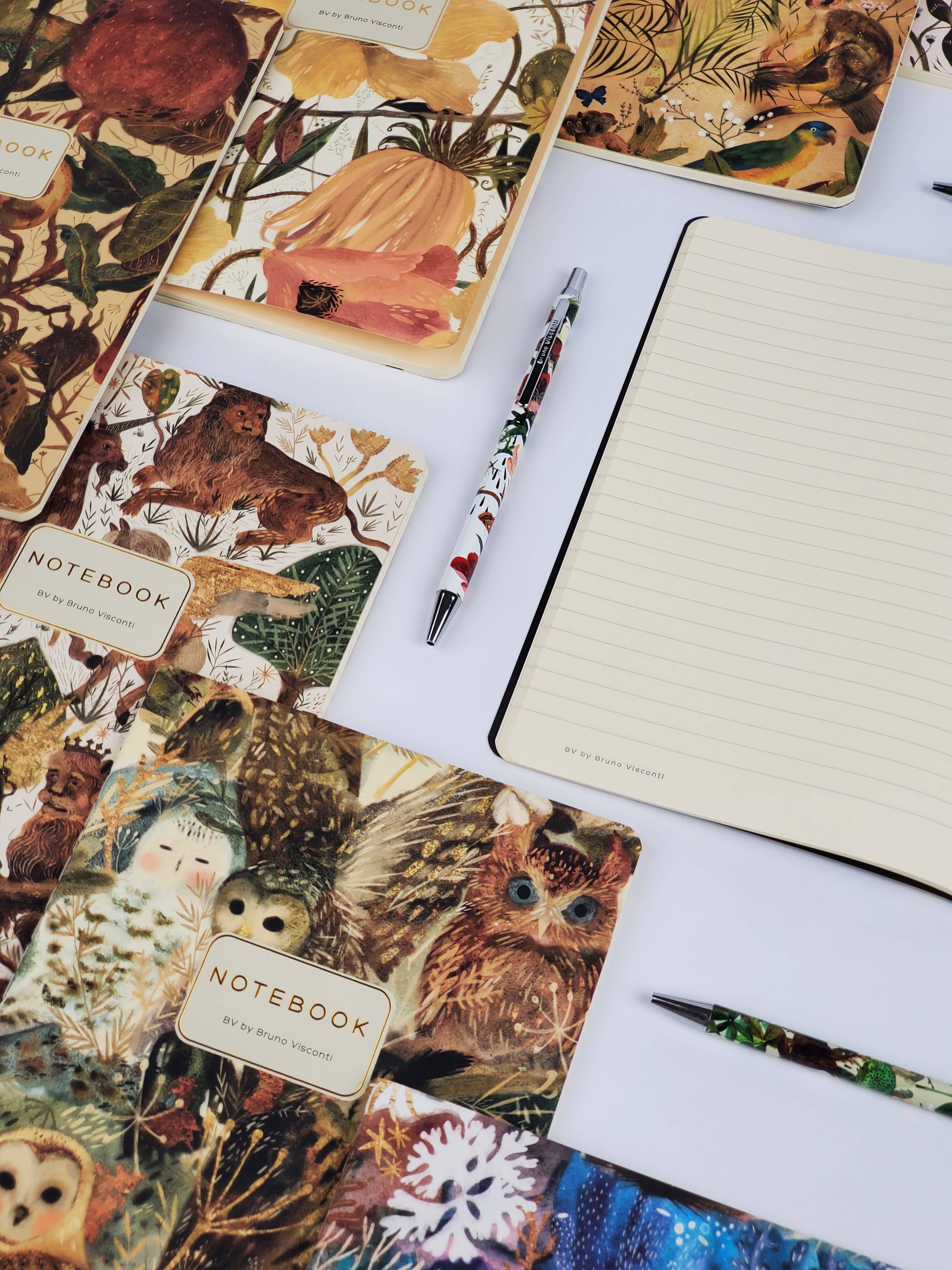 BV by Bruno Visconti - Wholesale Notebook - Owls Notebook12