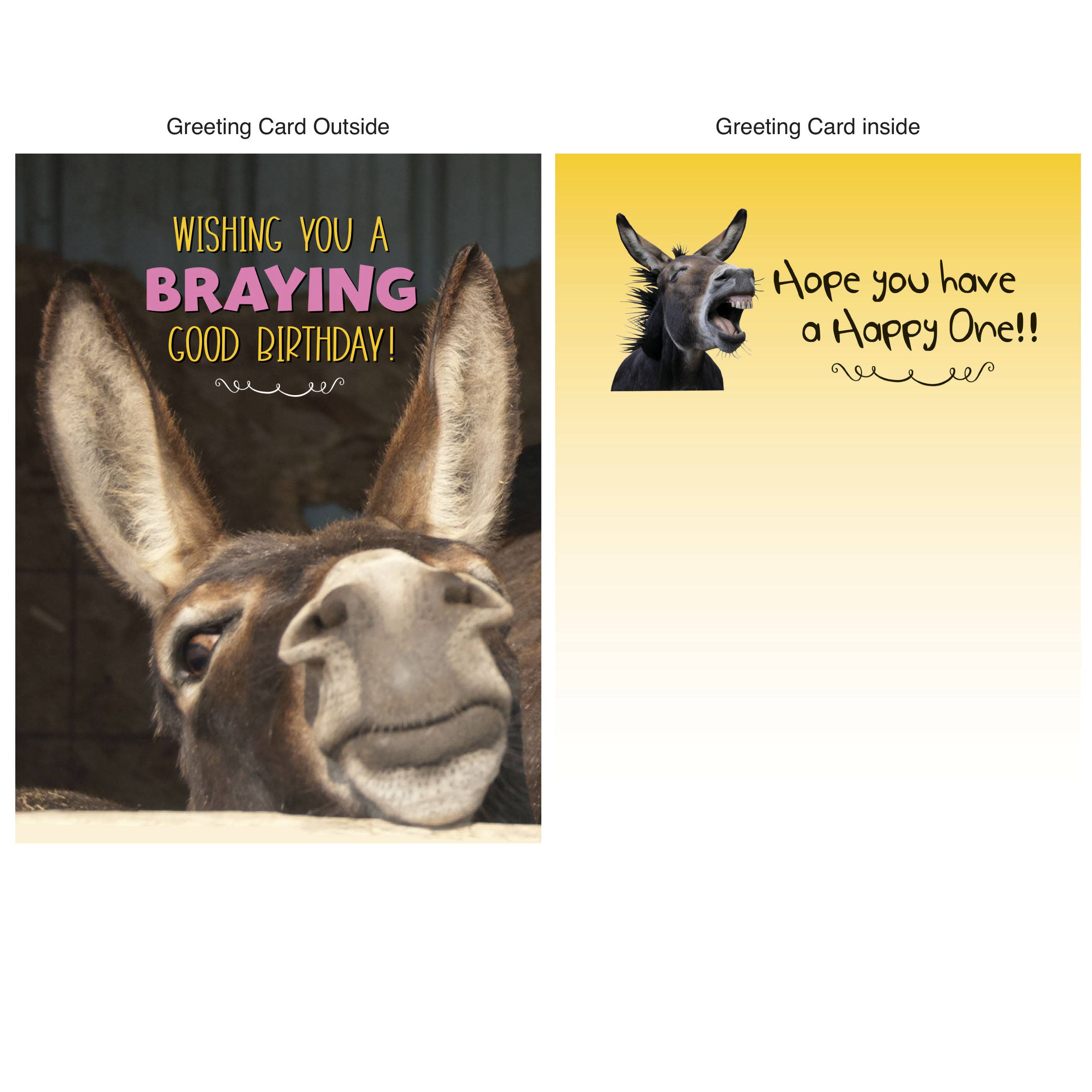 Horse Hollow Press - Wholesale Birthday Card - Donkey Greeting Birthday Card / Braying Good Birthday / Cute8