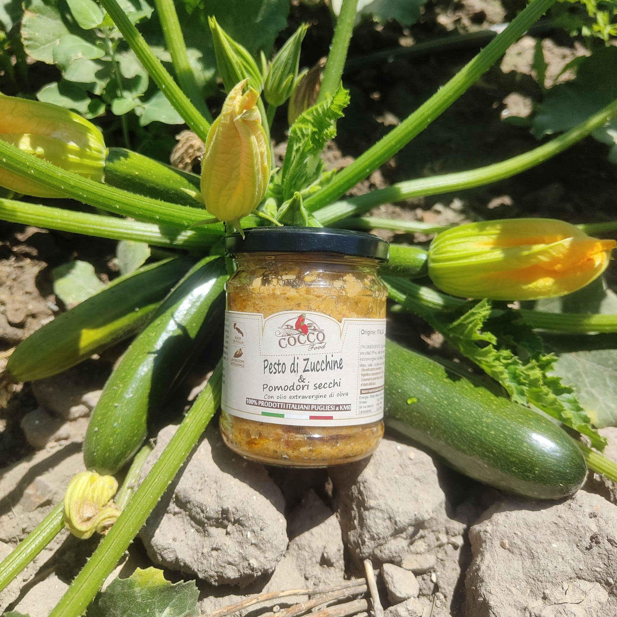 Cocco Food – wholesale Pesto – Zucchini and Dried Tomato Pesto Made in Puglia, Italy0