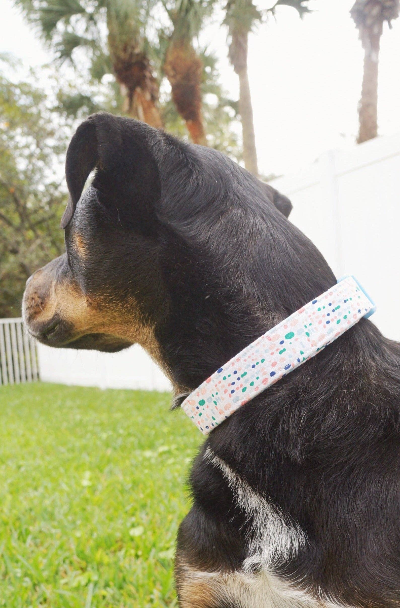 kiwi & WILLOW - Wholesale Pet Collar - Dog - Blue Spring Dog Collar6