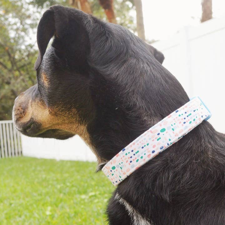 kiwi & WILLOW - Wholesale Pet Collar - Dog - Blue Spring Dog Collar6
