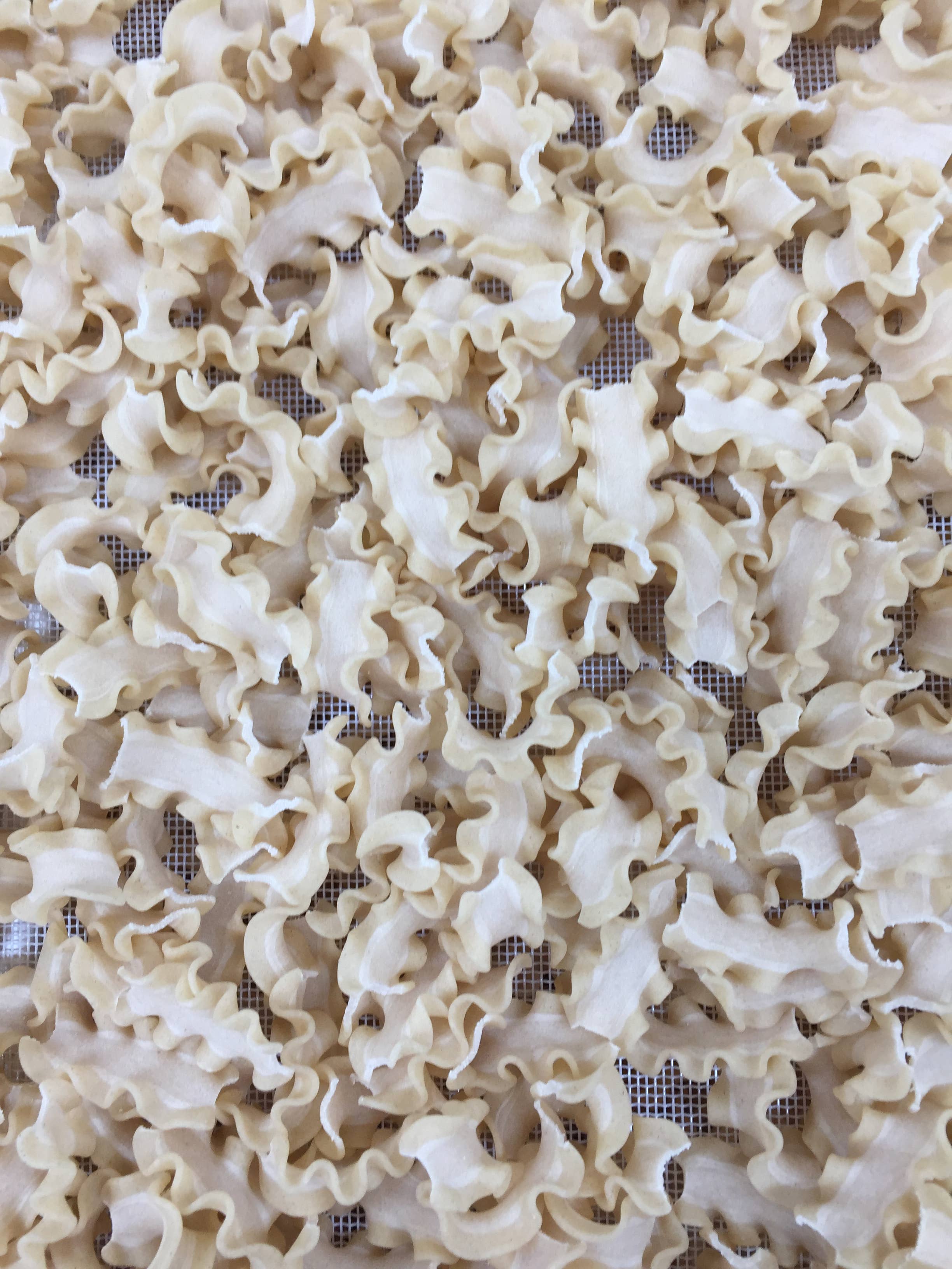 La Fabrique d'Ancienville - Wholesale Pasta - “Pasta” - Mafaldine with Soft Wheat T80 - 500g2