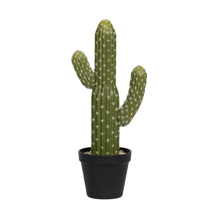 Cactus Saguaro S - Green - L6,05in x W4,88in x H15,99in for wholesale by Pottery Pots
