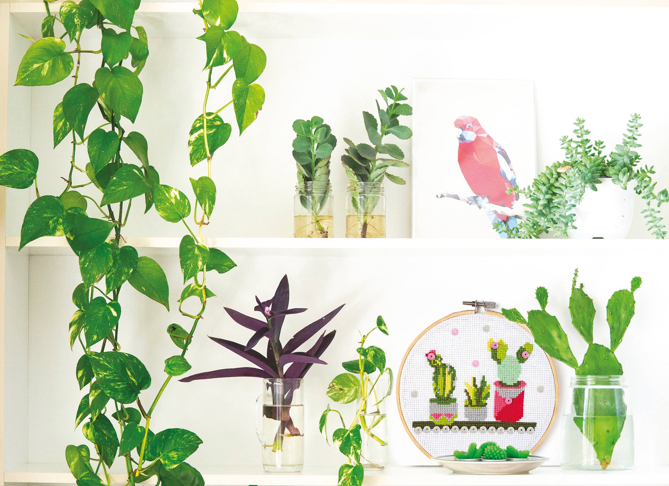 Graine Créative - Wholesale Craft Sewing Kit - CACTUS WOODEN EMBROIDERY DRUM KIT Ø 155mm4