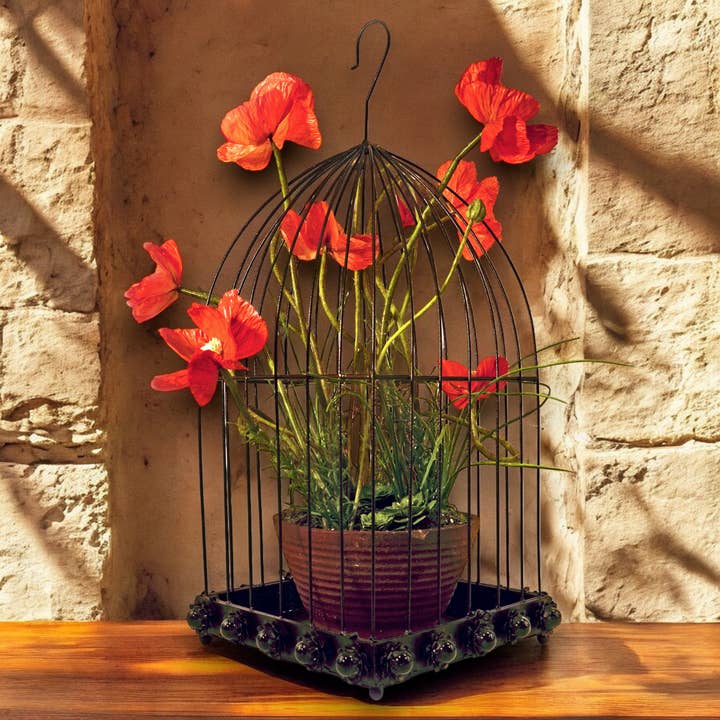 Wilco Home - Wholesale Bird house - Desert Rose Design Bird Cage With Hook/Removeable Tray6