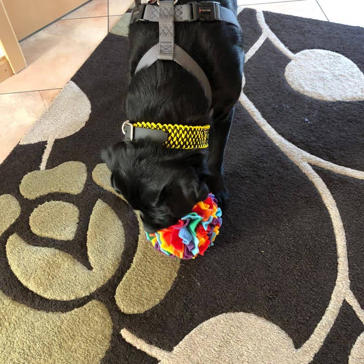 Pawcord by Franzi - Wholesale Pet Toy - Cat/Dog - Rainbow-coloured sniffing ball3