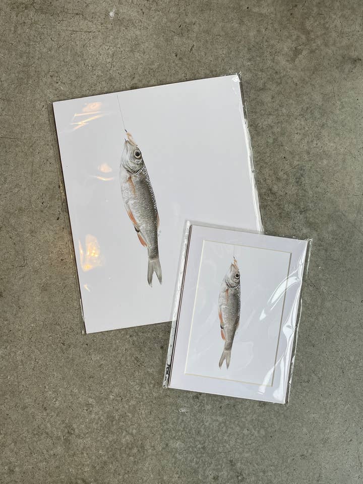 Bait Fish - Imprimé pour la vente par stück in the studio