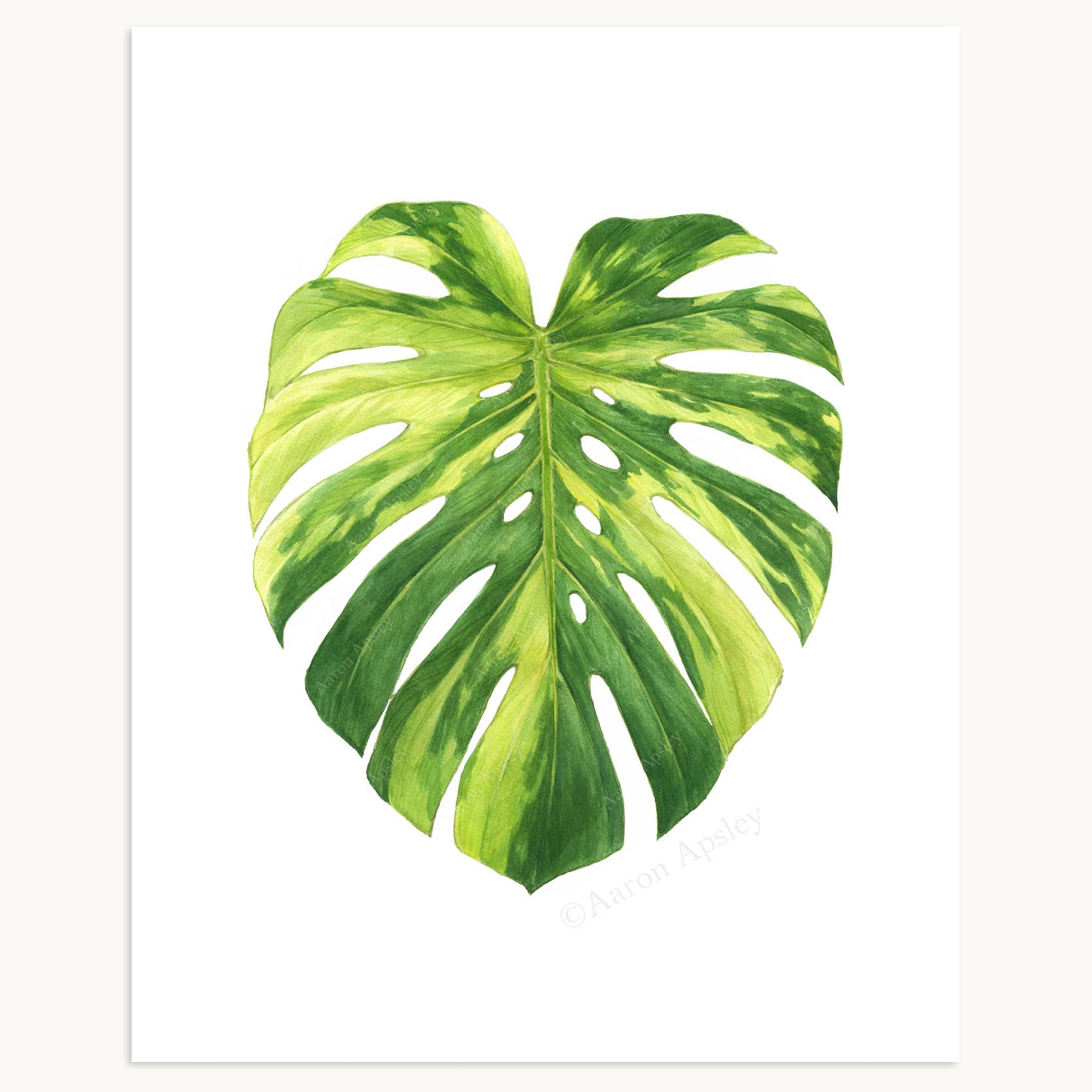 Aaron Apsley Artwork - Wholesale Art Print - Tropical Leaf Print - 8"x10"2
