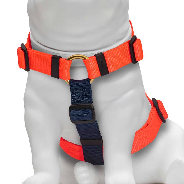 Neon Orange & Navy Sele for engroshandel hos Knick Knack Paddywhack Dog Gear
