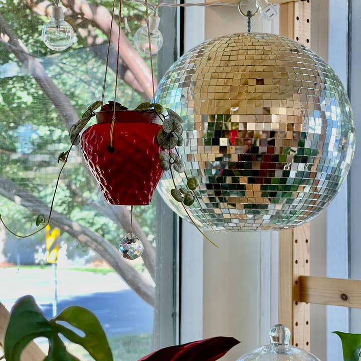 Queen City Crete – wholesale Solfångare – Suncatcher Jordgubbsplanterare i betong2