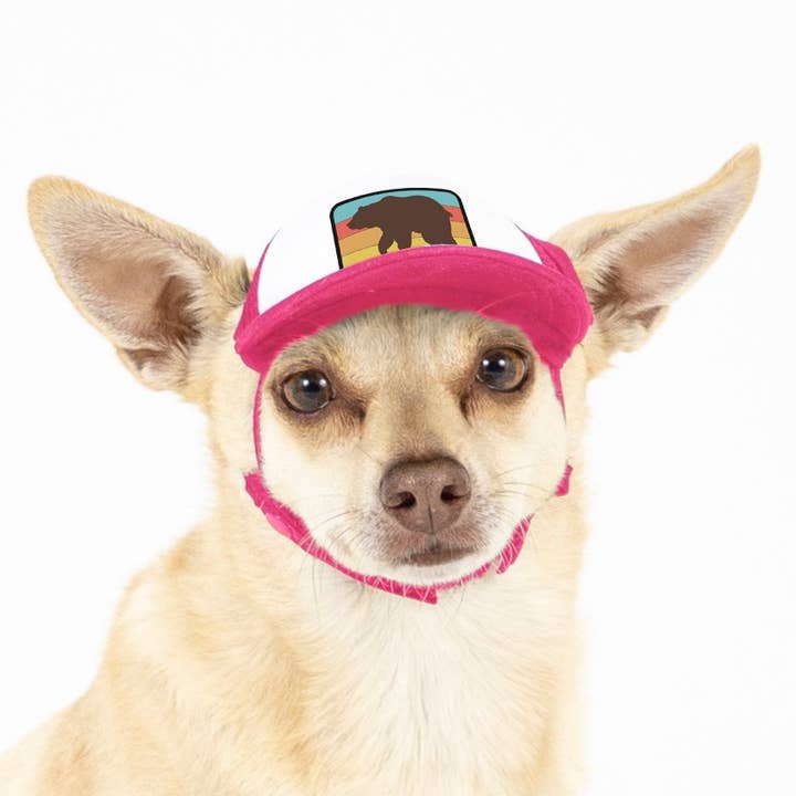 PupLid - Wholesale Hoed voor honden - Hond - Bear Standard of Namedrop | Truckerpet voor honden36