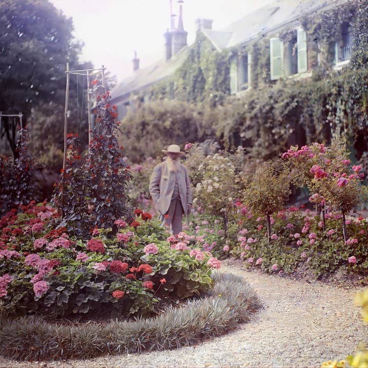 gestalten & teNeues - Wholesale Display Book - The Colors of Life11